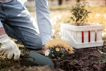 Incorporating Vertical Gardening into Your Landscape Design: Tips and Tricks