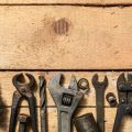 Natural and Eco-Friendly Pest Control Solutions That Work