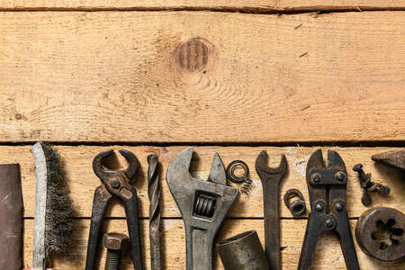 Natural and Eco-Friendly Pest Control Solutions That Work