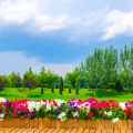 The Best Backyard Landscaping Styles for American Homes