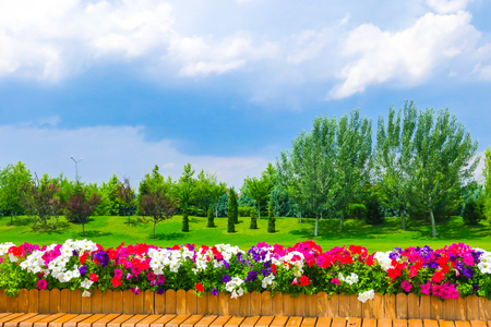 The Best Backyard Landscaping Styles for American Homes