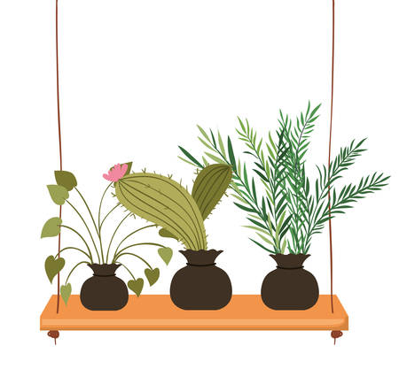 Designing for Efficiency and Aesthetic Appeal