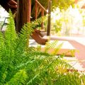 Backyard Makeover Trends in 2025: What’s Hot in Outdoor Living Design