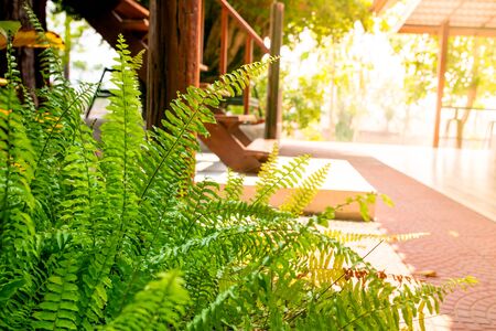 Backyard Makeover Trends in 2025: What’s Hot in Outdoor Living Design