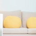 Color Psychology in the Living Room: Creating the Perfect Mood for Family and Guests