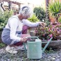 Planning the Perfect Water-Wise Garden: Xeriscaping Tips for Dry Climates