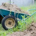 The Role of Mulching in Xeriscaping: Saving Moisture and Reducing Weeds