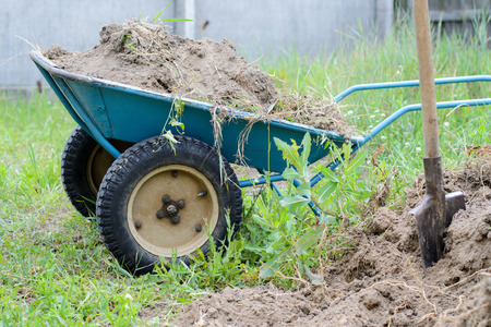 The Role of Mulching in Xeriscaping: Saving Moisture and Reducing Weeds