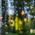 Combining Outdoor Lighting and Landscaping for Maximum Visual Impact