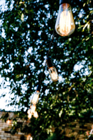 Outdoor Holiday Lighting Installation and Safety Tips